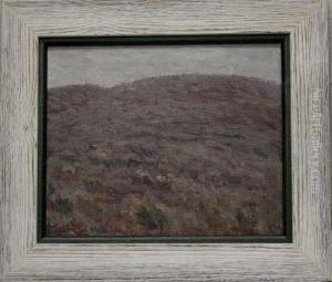 Paisaje