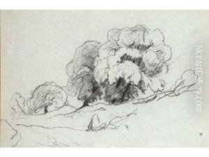 :bosquet Darbres Crayon Noir :bosquet Darbres Crayon Noir