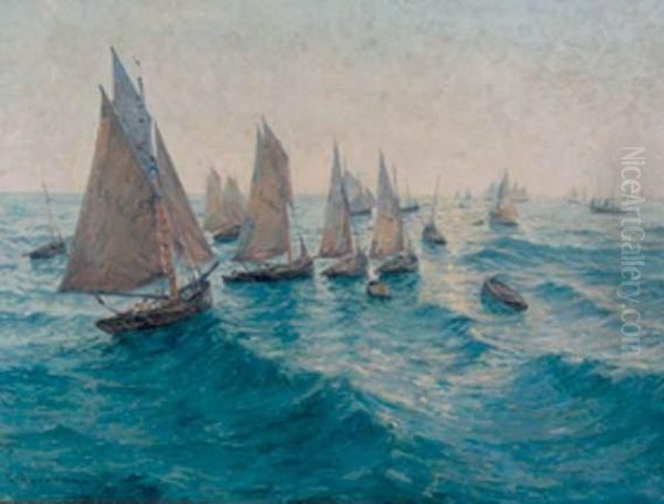 Regate A Saint-vaast-la-hougue - view 1