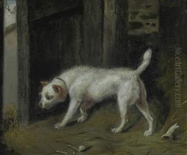A Inquisitive Terrier - view 1