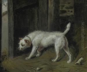 A Inquisitive Terrier by Samuel Raven