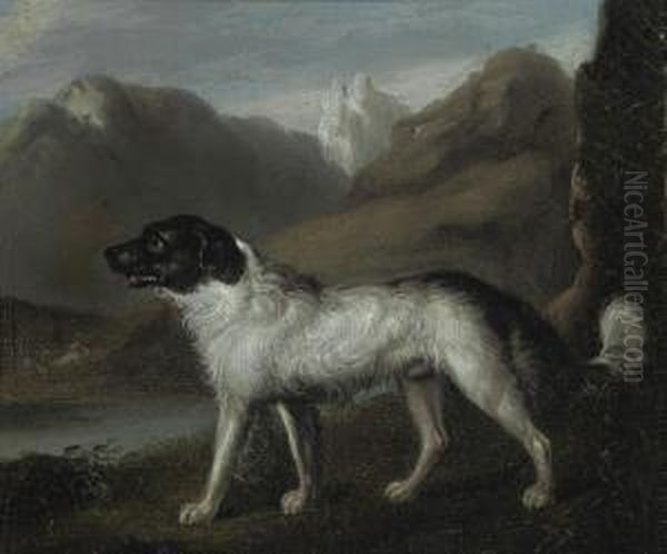 A Mountain Hound - view 1