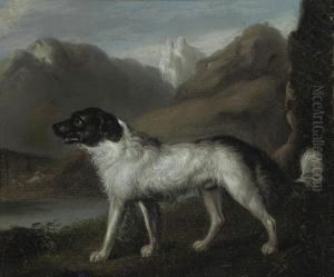 A Mountain Hound by Samuel Raven