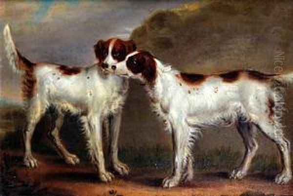Two Spaniels On A Path - view 1