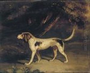 A Favourite Hound
