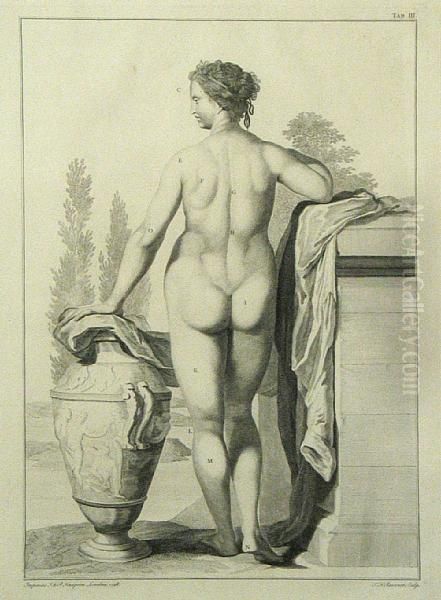 Nude, Pl. Iii - view 1