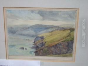 From Berry Head by Alfred Rawlings
