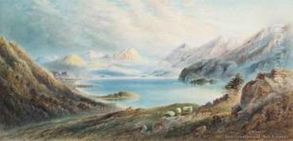 Te Anau - view 1