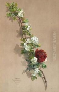 A Still Life Of A Red Rose And Blossom On A Branch by Emile Raybaud