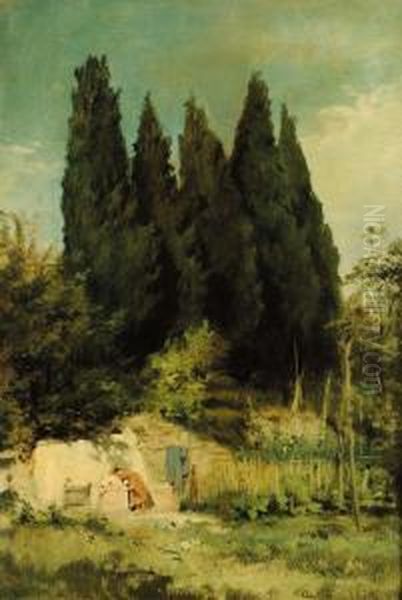 Paesaggio Concipressi - view 1