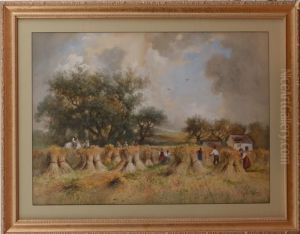 Harvest Scene Harvest Scene