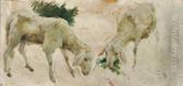 Pecore Brucanti - view 1