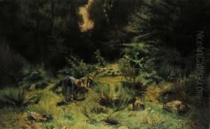 In Cerca Di Erbacee E Radiche by Ernesto Rayper