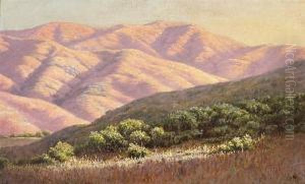 Sun's Last Rays, Marin County,california - view 1