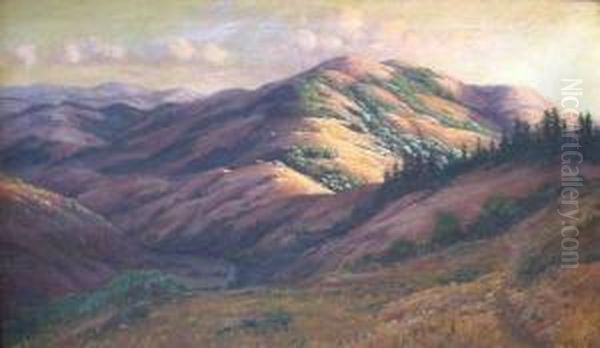 Near Fairfax - view 1