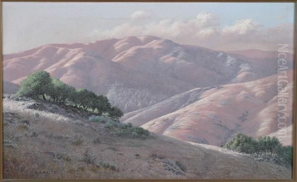 Marin County Hills - view 1