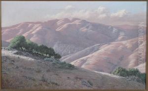 Marin County Hills by Louis Edward Rea