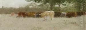 Cattle Grazing