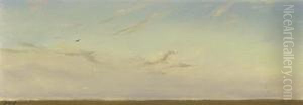 Horizon Landscape With Bird - view 1