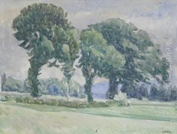 Campagna A Muri - view 1
