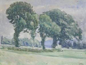 Campagna A Muri Campagna A Muri