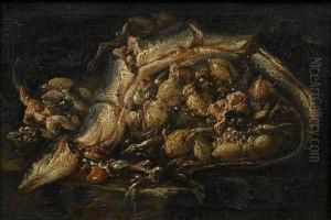 An Eel And Cuttlefish On A Stone Ledge
