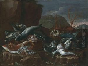 Fish, Shells And Coral On A Rocky Shore by Giuseppe Recco