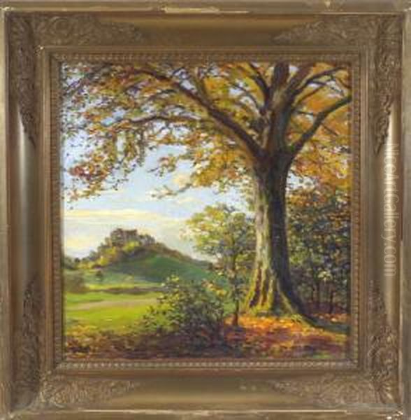 Blick Vom Herbstlichen Waldrand Auf Eine Burganlage - view 1
