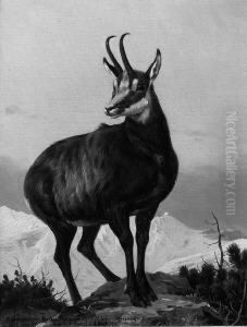 Gamse Im Gebirge by Otto Recknagel