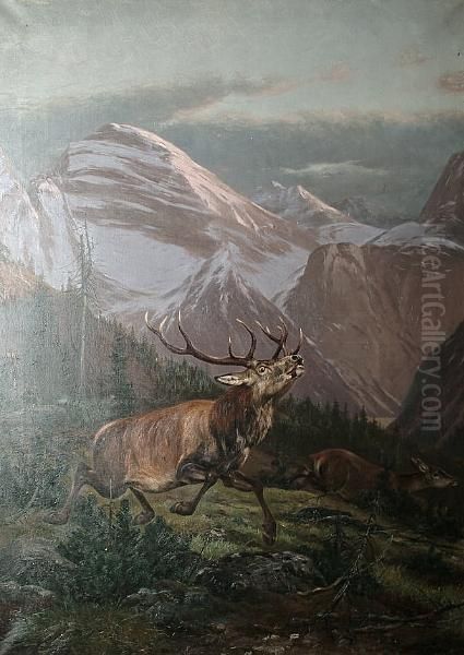 Deer Stalking - view 1