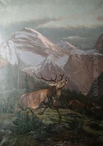 Deer Stalking