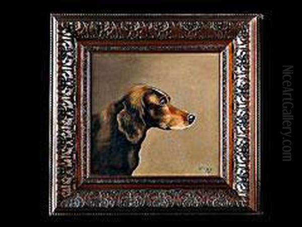 Kopf Eines Jagdhundes (setter) - view 1