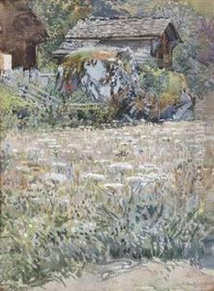 A Flowery Meadow In The Country - view 1