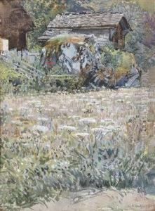 A Flowery Meadow In The Country