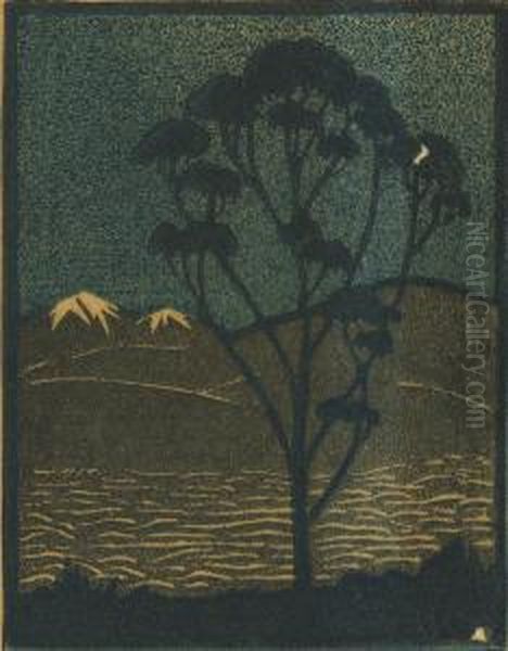 Untitled Desert At Night - view 1