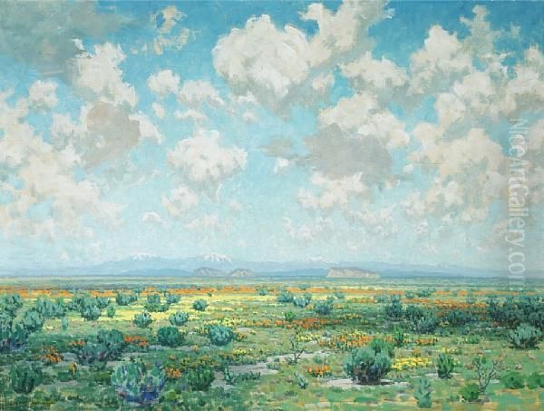 High Desert In Bloom - view 1
