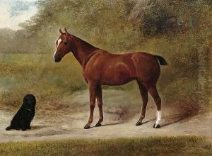 A Pony With A Terrier