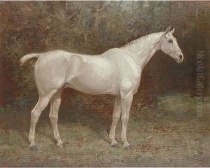 Launcelot, A Grey Horse by William Josiah Redworth