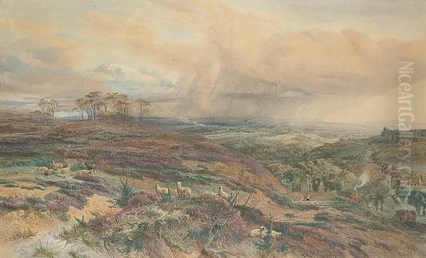 Leith Hill - view 1