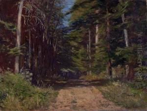 "sonnendurchfluteter Waldweg" by Julius Christian Rehder