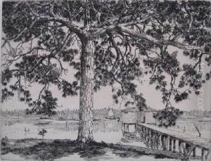 Pine Branches