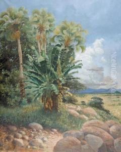 Afrikanische Landschaft. by Paul Reichard