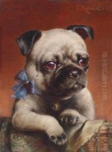 "young Pug" by Carl Reichert