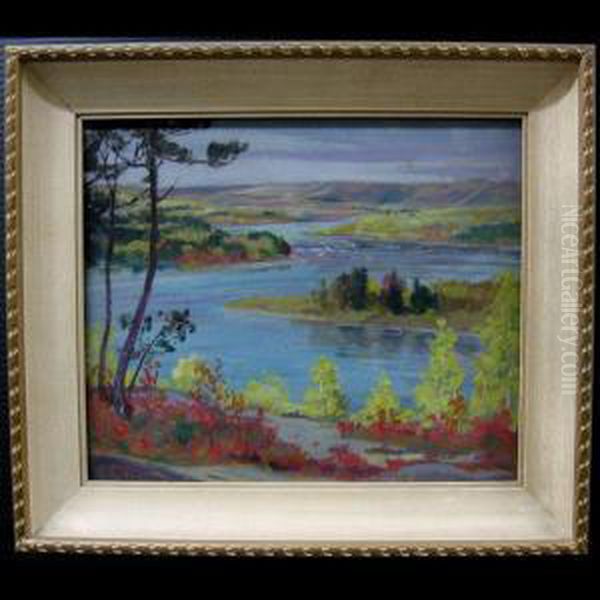 The Ottawa River Near Trois Riviere - view 1