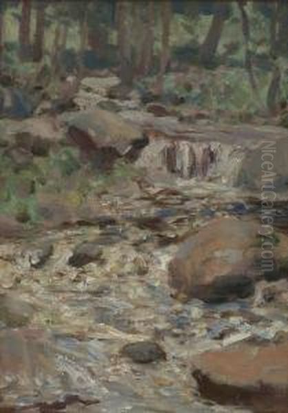The Trout Brook - view 1