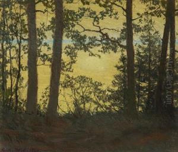 View Of The Lake At Sunset Through The Trees - view 1