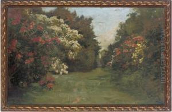 In The Rhododendron Alley At Tyninghame, Haddington, Scotland - view 1
