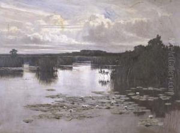 Norfolk Broads - view 1
