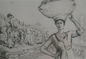 The Grape Harvest