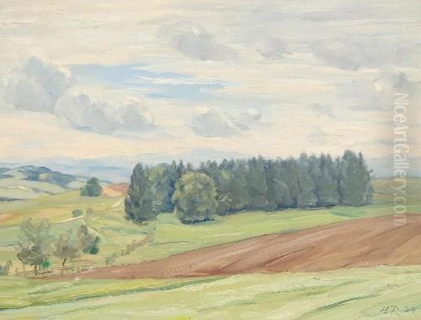 Sommerlichelandschaft Bei Dollendorf - view 1